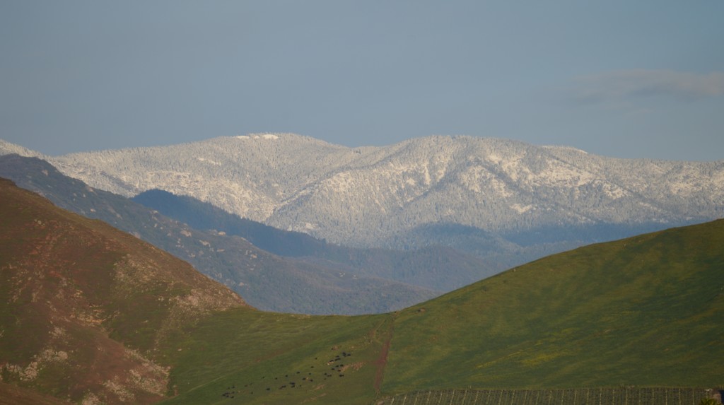 Alta Vista View